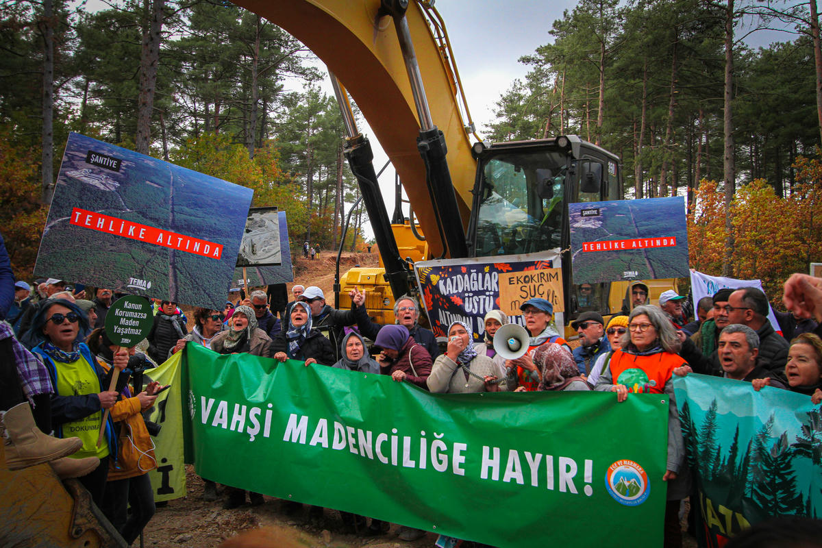 Siz bu satırları okurken kesiyorlar