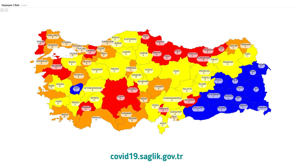Yüksek ve çok yüksek  riskli illerde kısıtlama sürecek