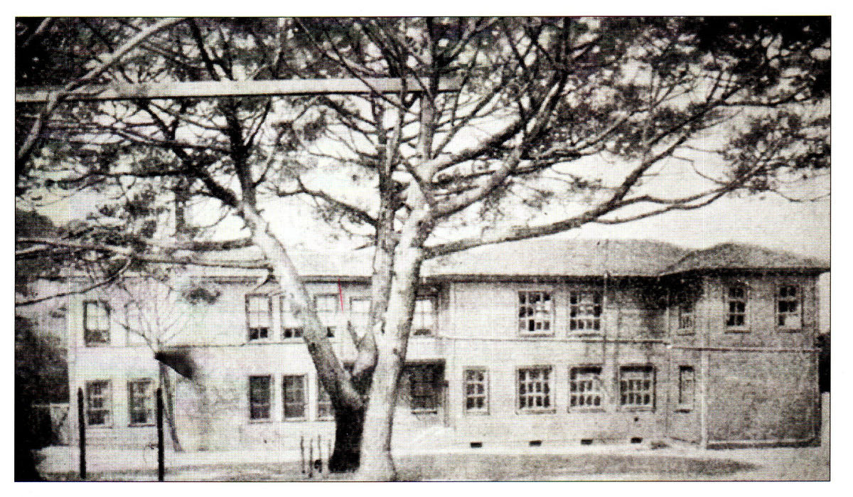 Վերջին Գիշերը (Գ)