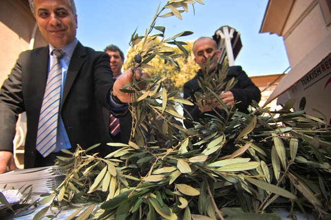 Dzarzartar - Dzağgazart