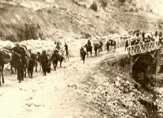 ‘Ermenilerin hepsi ölmedi, o yüzden soykırım diyemeyiz’