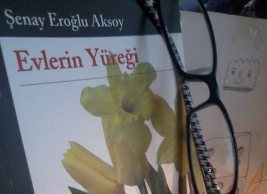 Evlerin Yüreği - Deli Kadın Öykücüler