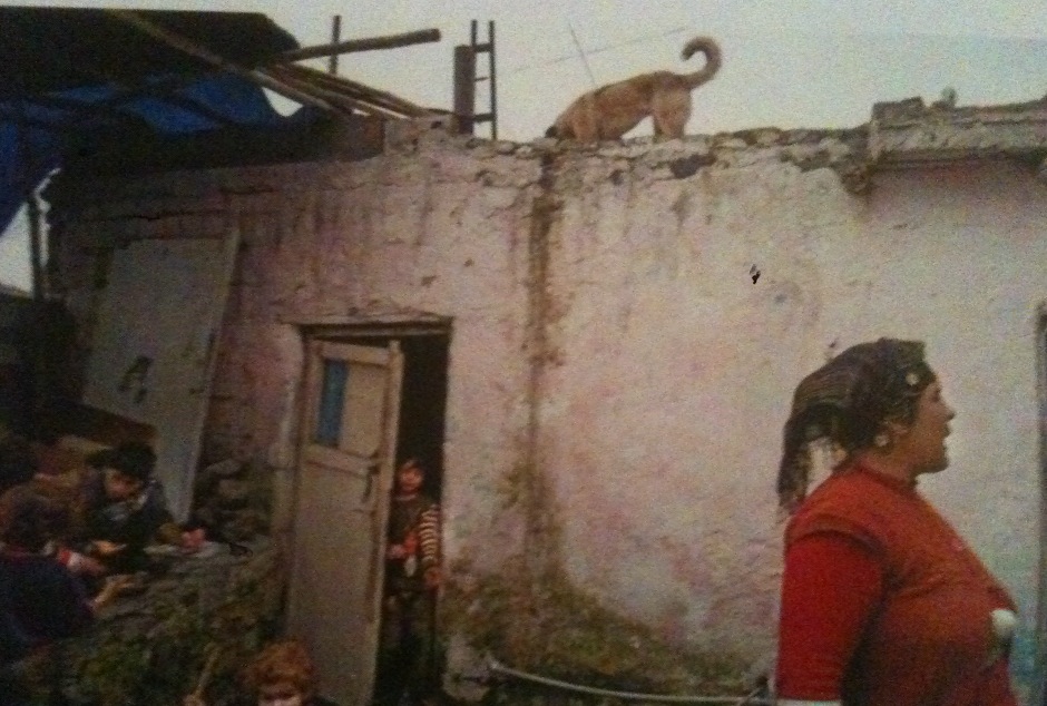  'Tazminat söylemi tamir etmiyor, yarayı kanatıyor'