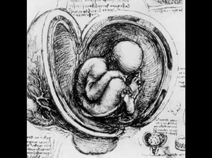 Bilimle sanatı birleştiren deha: Leonardo da Vinci  