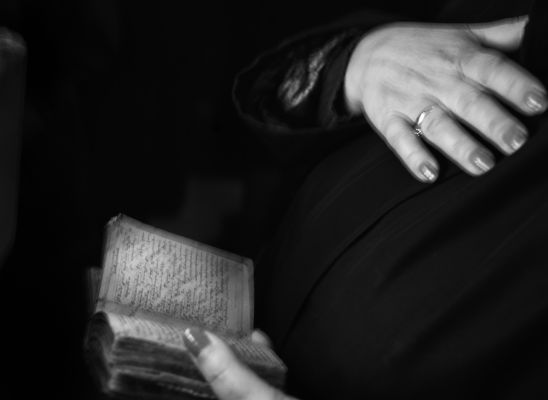  Ağaçlarda saklı tarih