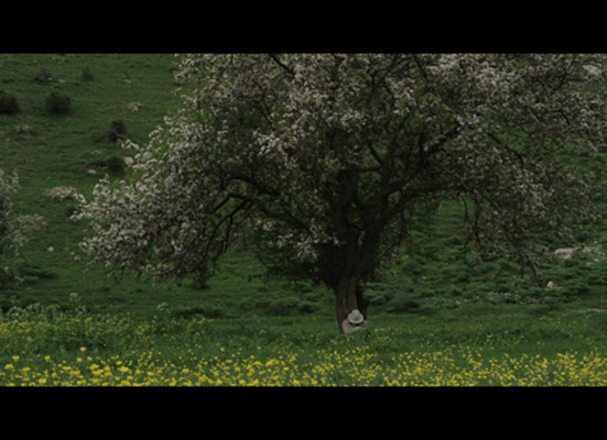 Saroyan Ülkesi’ne zor yolculuk