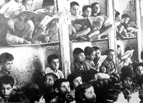 Diaspora temsicilerinden Erdoğan’ın açıklamalarına kuşkucu yaklaşım  