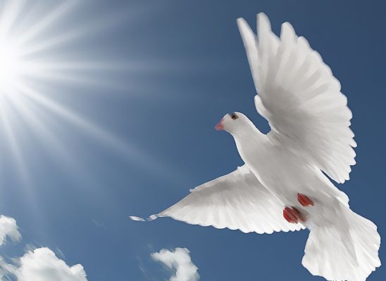 HDP’den KCK açıklaması