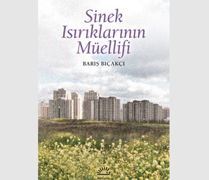 Minimalist zarafetin romancısı