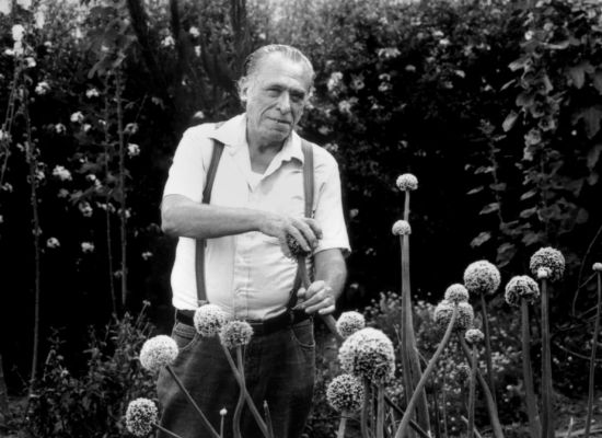 Peygamber Buk’un son sözleri