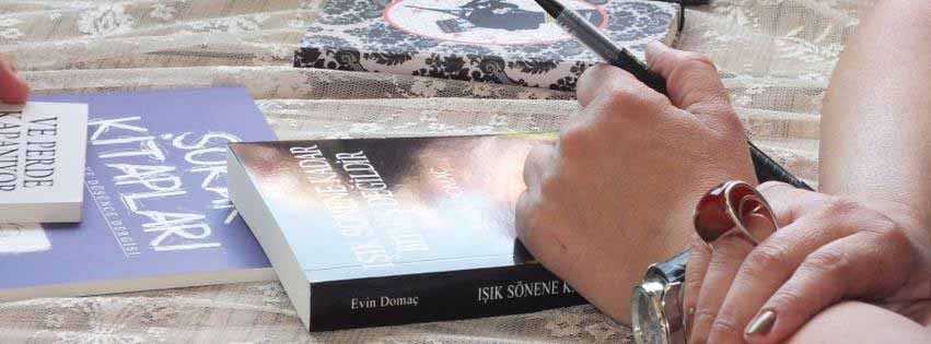 Bir ilk roman hikâyesi  