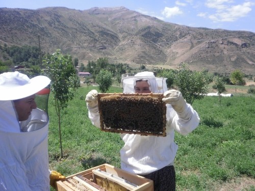 Barış gelecek ama hâlâ su gelmiyor