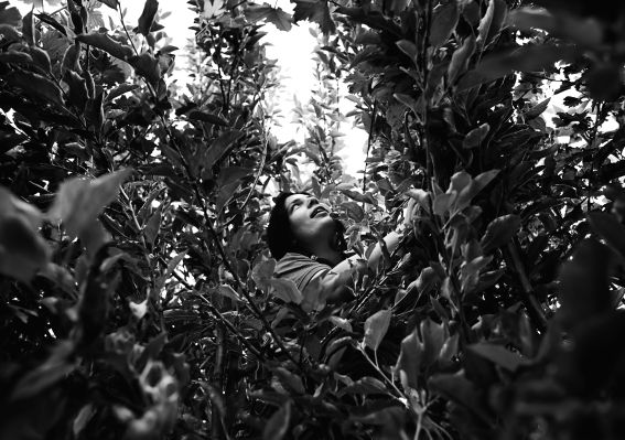 Sınırlara rağmen kardeşlik