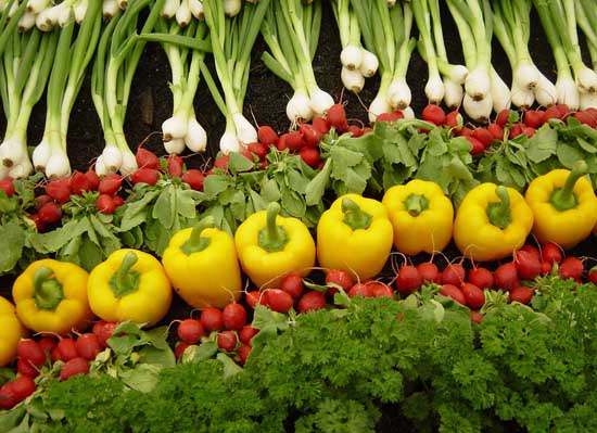 Başka bir beslenme mümkün