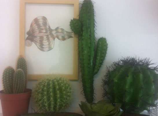 5533’teki Meşguliyetler Üzerine Notlar