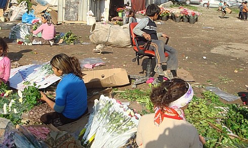 Türkiye Roman Hakları Formu Kuruldu 