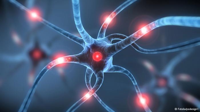 Bilim insanları ‘süper beyin’i yarattı