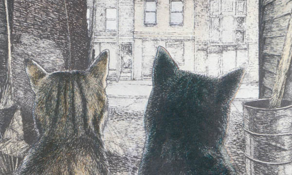 Gitmeyen bir kedi var mı?