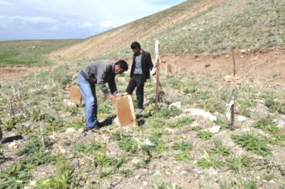 'Yargısız infaz ettiler'