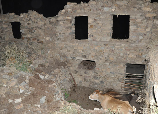 Tarihi kilise hayvan barınağı oldu
