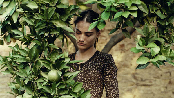 'Biz iyi ve samimi sinemayı arzuluyoruz'