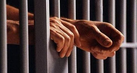 &quot;Deniz Zarakolu Serbest Bırakılmalı&quot;