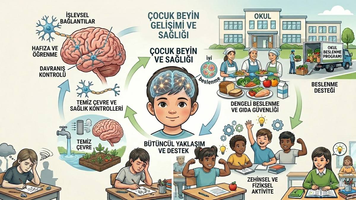 COP31’e doğru: Çevre kirliliği, gıda güvencesizliği, eğitim adaleti ve çocuklar
