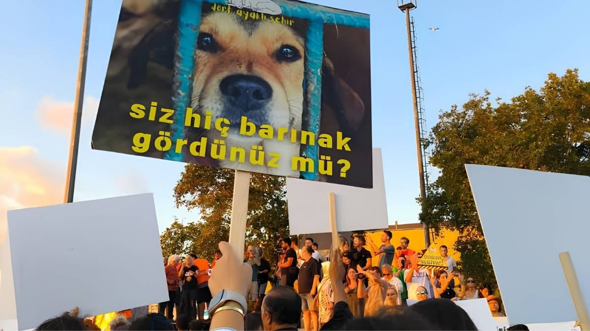 %96.5