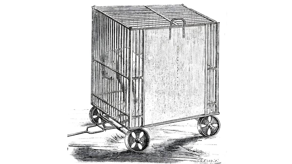 Demir kafeste müşahadeye alınmış kuduz köpek (1904, Nevsâl-i Afiyet, 3. Cilt)